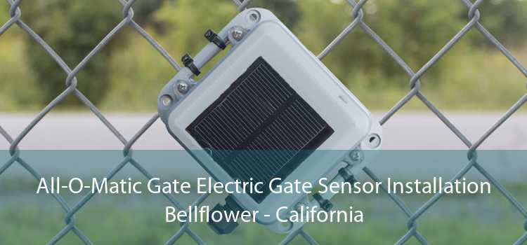 All-O-Matic Gate Electric Gate Sensor Installation Bellflower - California