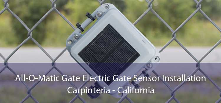 All-O-Matic Gate Electric Gate Sensor Installation Carpinteria - California