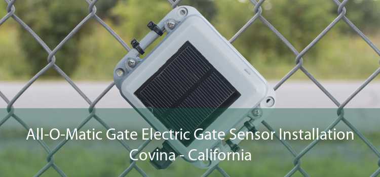 All-O-Matic Gate Electric Gate Sensor Installation Covina - California