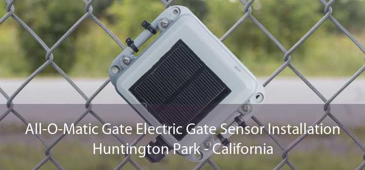 All-O-Matic Gate Electric Gate Sensor Installation Huntington Park - California