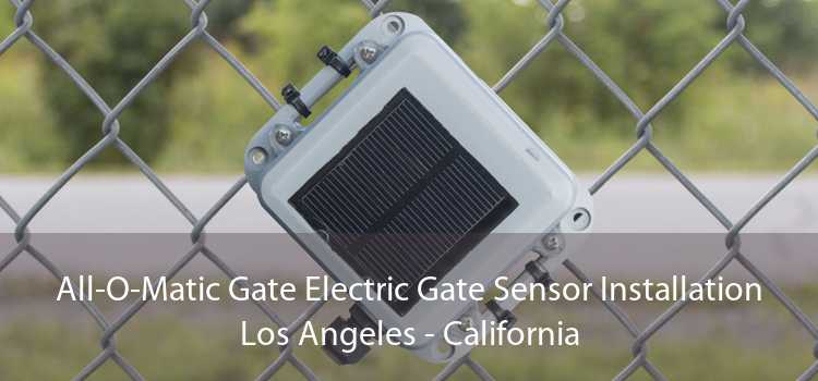 All-O-Matic Gate Electric Gate Sensor Installation Los Angeles - California