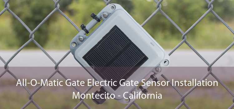 All-O-Matic Gate Electric Gate Sensor Installation Montecito - California