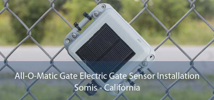 All-O-Matic Gate Electric Gate Sensor Installation Somis - California