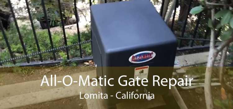 All-O-Matic Gate Repair Lomita - California