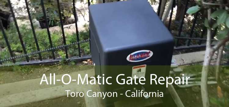 All-O-Matic Gate Repair Toro Canyon - California