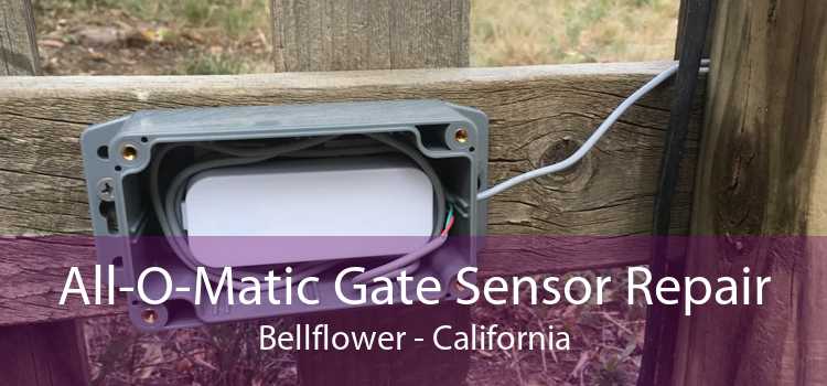 All-O-Matic Gate Sensor Repair Bellflower - California