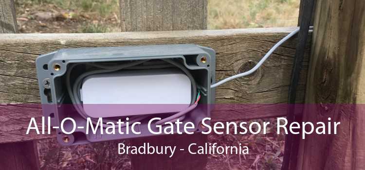 All-O-Matic Gate Sensor Repair Bradbury - California