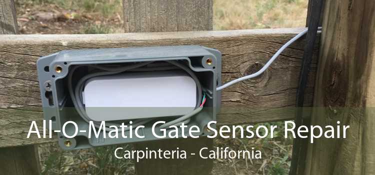 All-O-Matic Gate Sensor Repair Carpinteria - California