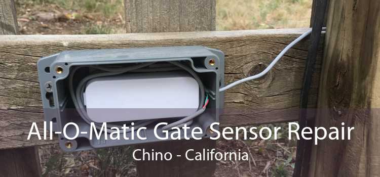 All-O-Matic Gate Sensor Repair Chino - California