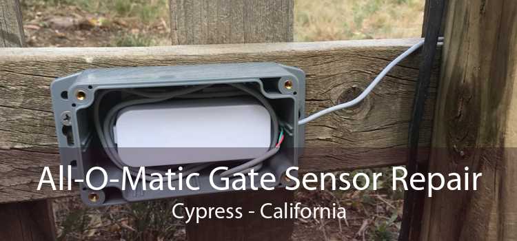 All-O-Matic Gate Sensor Repair Cypress - California