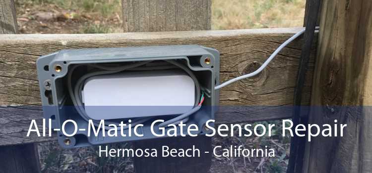 All-O-Matic Gate Sensor Repair Hermosa Beach - California