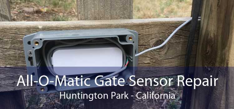 All-O-Matic Gate Sensor Repair Huntington Park - California