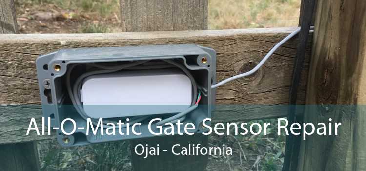 All-O-Matic Gate Sensor Repair Ojai - California