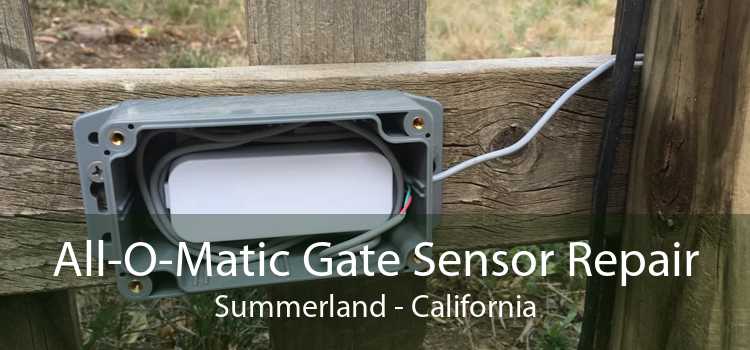 All-O-Matic Gate Sensor Repair Summerland - California