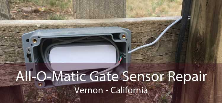 All-O-Matic Gate Sensor Repair Vernon - California