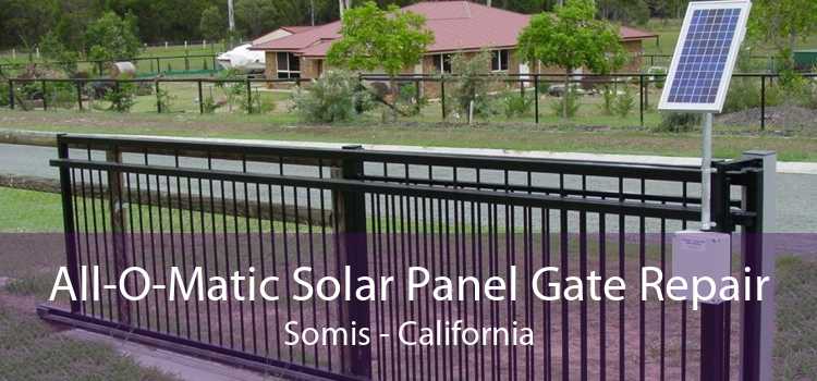 All-O-Matic Solar Panel Gate Repair Somis - California